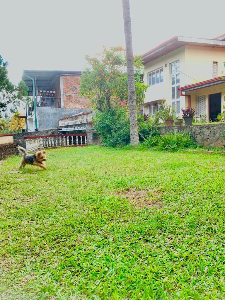 No 06 Veediya Bandara Lane Bahirawakanda Канди Экстерьер фото